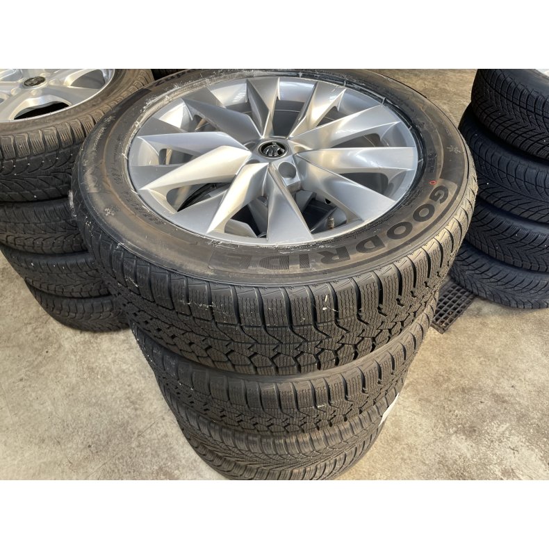 19 Skoda Enyaq Ref.264 vinterdk 