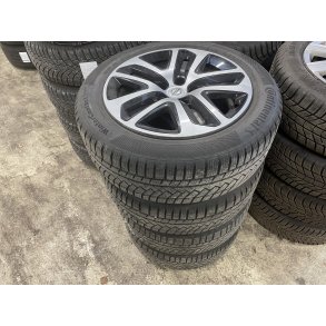 17 Opel Insignia Ref.755 vinterdk 