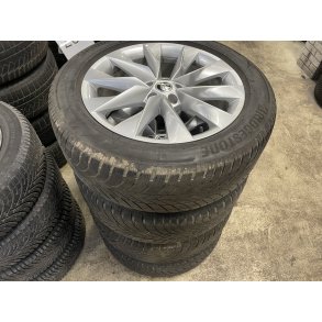 19 Skoda Enyaq Ref.103 vinterdk 