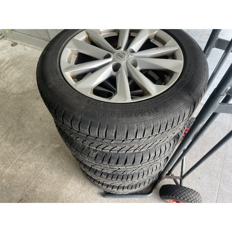 17� Nissan Qashqai Ref.775 vinterd�k 