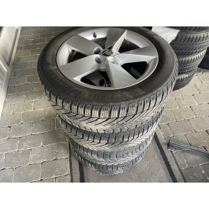 17� Skoda Karoq Ref.884 vinterd�k 