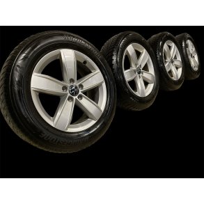 Aluflge 17 VW Tiguan 215/65r17 Ref.213 vinter 