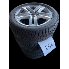 Aluflge 17 Audi A4 vinterdk 251