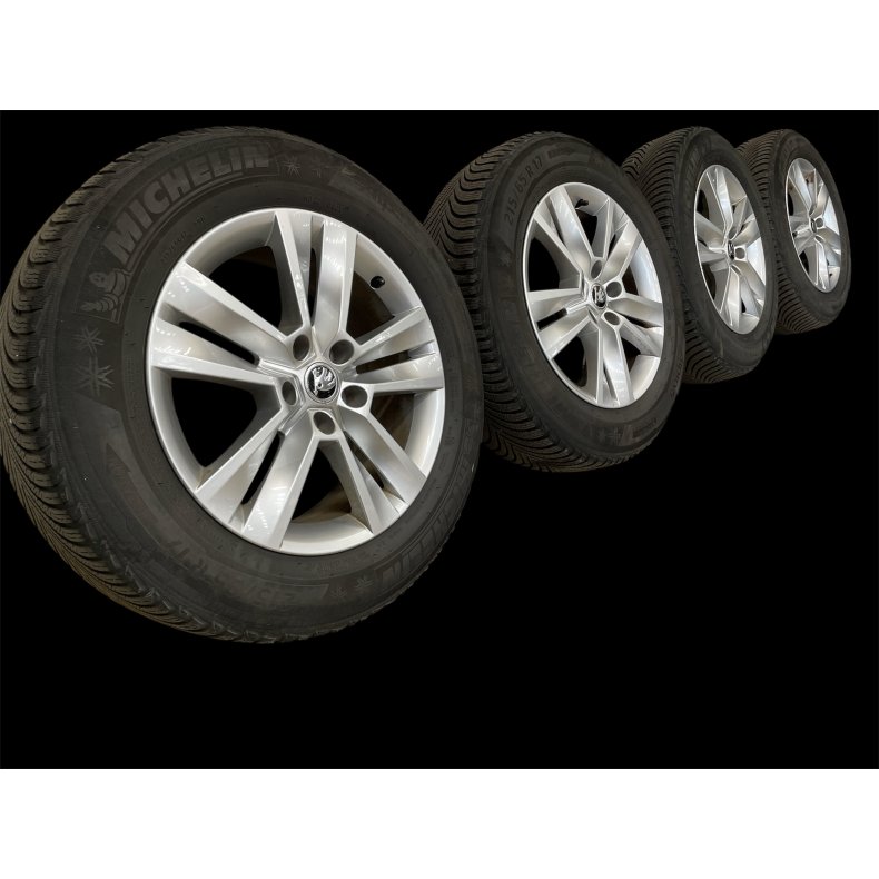 Aluflge Skoda Kodiaq Ref.201 vinterdk 